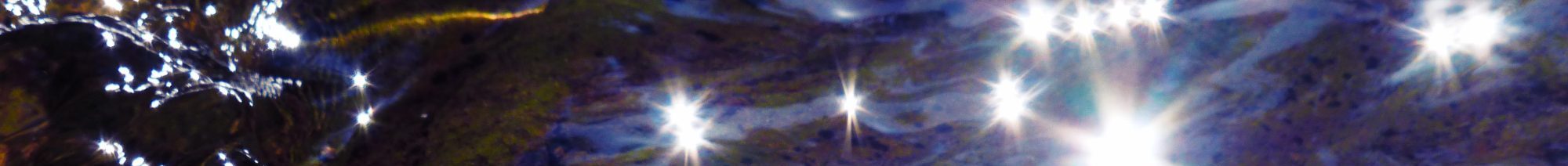 Foya ♡ Chant, conte et nature en fête